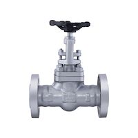 گلوب ولو کلاس 150  فولادی